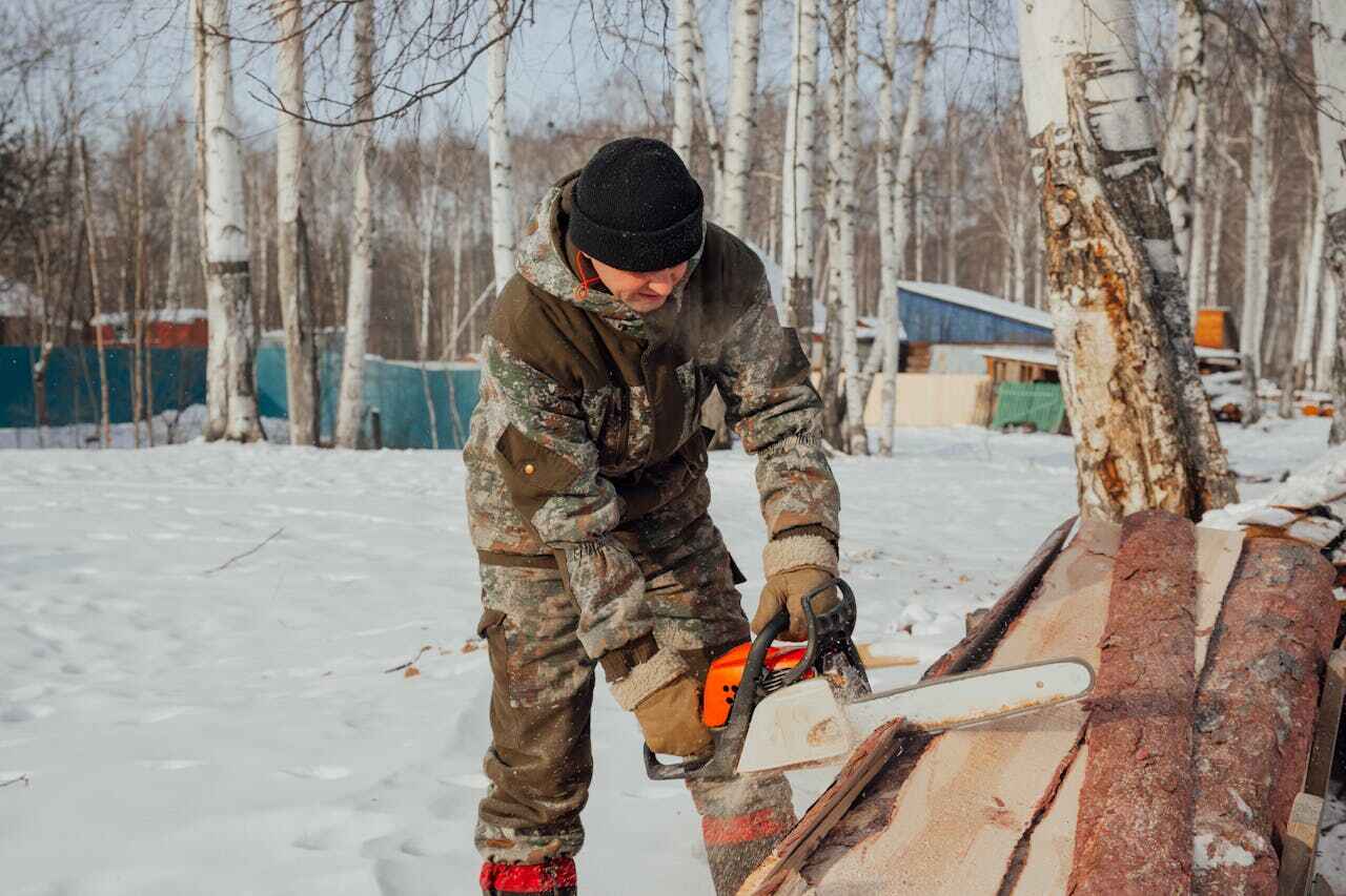 Large Tree Removal in Driggs, ID